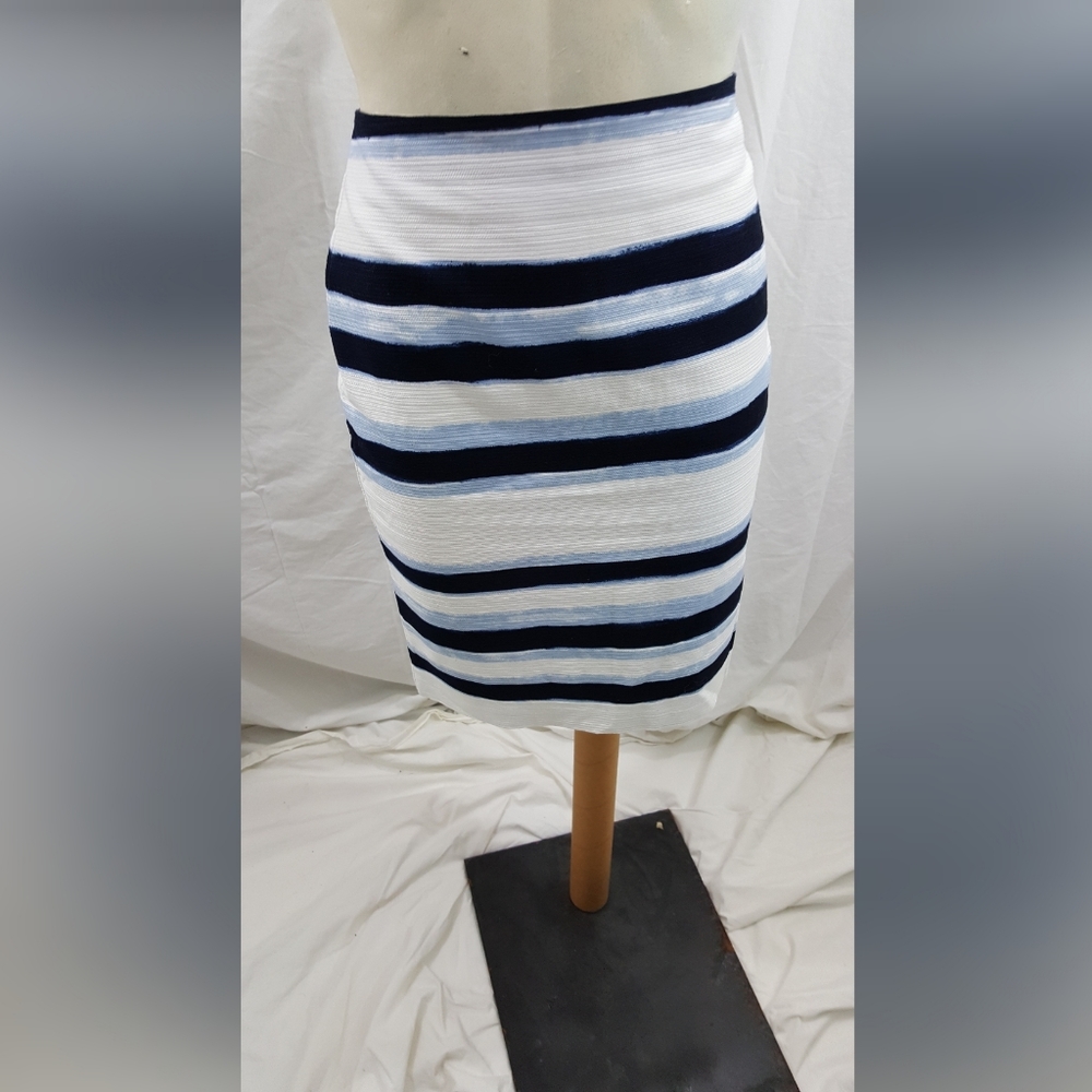Ann Taylor Petites Skirt